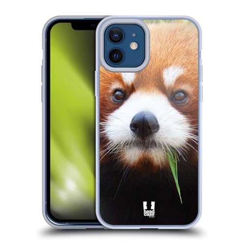 Red Panda