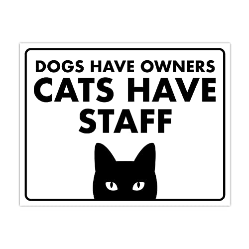 Cats Have Staff
