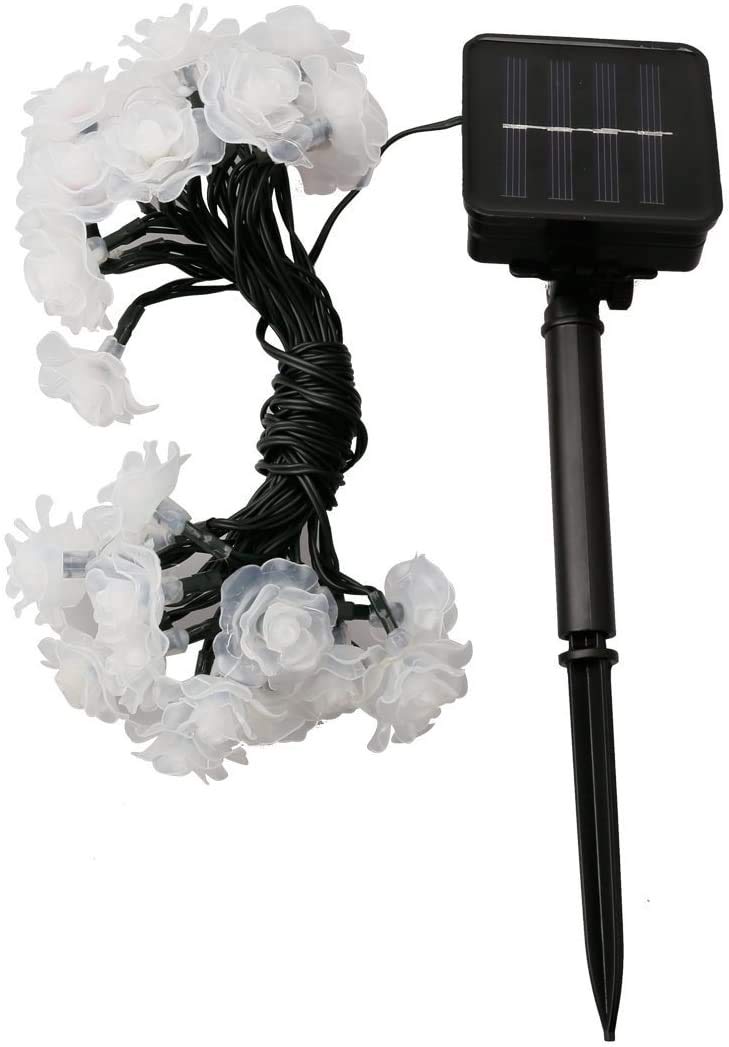 Solar Powered 20 LED Rose Flower String Lights - Waterproof Outdoor Fairy Lights with 2 Modes for Garden, Pathway, Wedding & Party Decor (Rose-Purple) | Perfect for Backyard, Patio, Christmas & Holiday Lighting