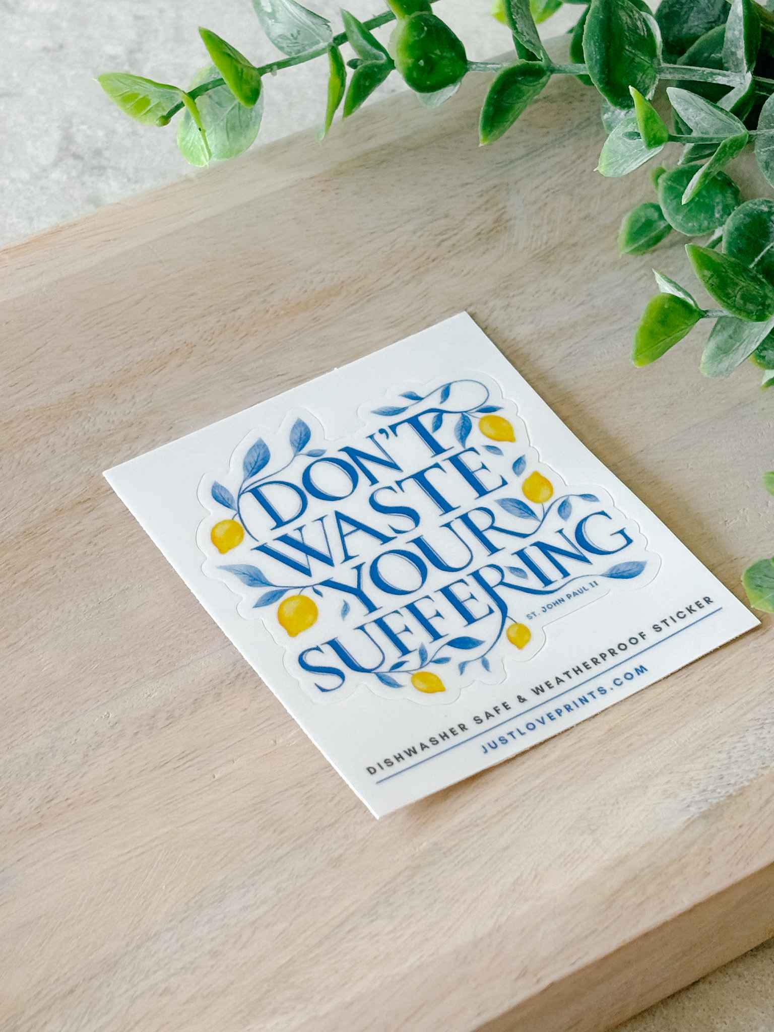 Don't Waste Your Suffering Motivational Sticker - Inspirational Quote Decal for Laptops, Journals & Water Bottles - Perfect for Self-Improvement & Daily Encouragement