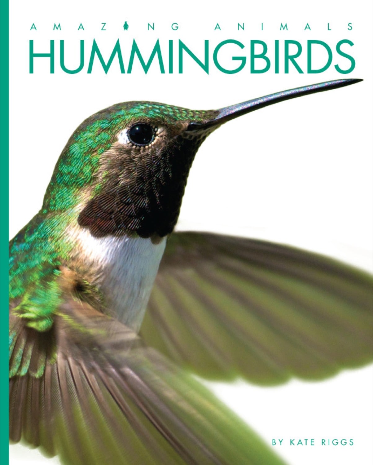 Amazing Animals (2014): Hummingbirds - Nature Documentary Film | Wildlife, Birds, Nature Exploration | Perfect for Bird Lovers & Educational Screenings