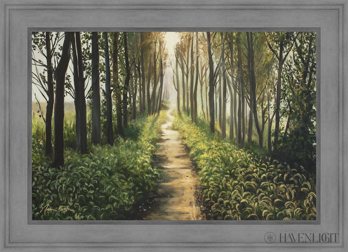 Forest Walkway - Beautiful Wooden Pathway for Gardens, Parks & Trails | Perfect for Outdoor Decor & Nature Walks