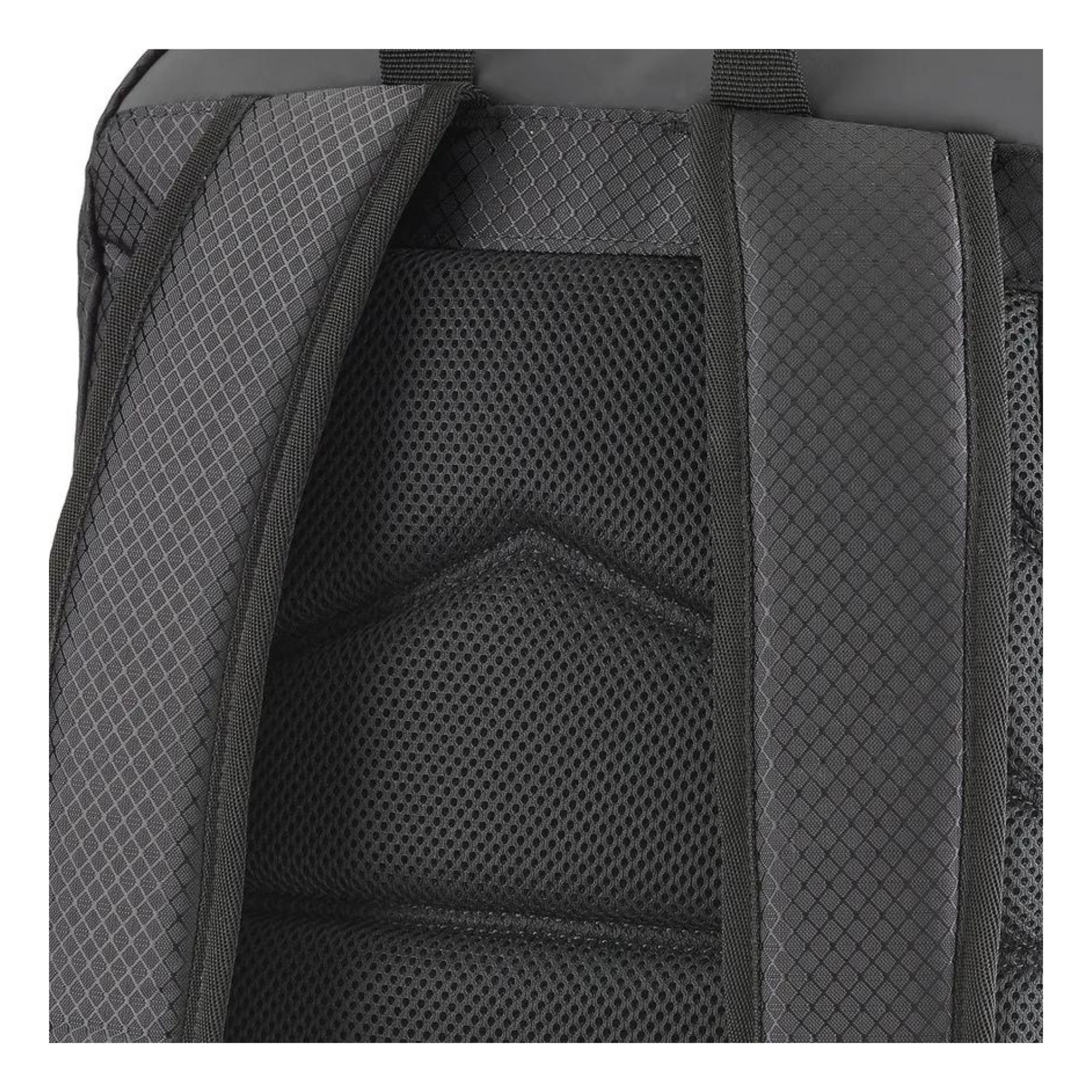 Musto Essential 25L Waterproof Backpack for Hiking, Travel & Work - Lightweight Durable Daypack with Laptop Compartment | Perfect for Outdoor Adventures, Commuting & Daily Use
