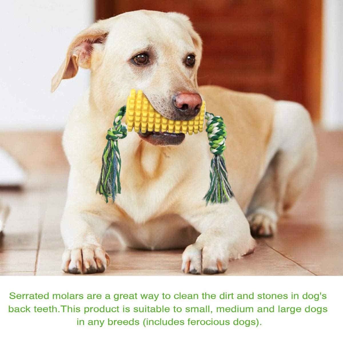 Durable Dog Chew Toys for Aggressive Chewers - Puppy Toothbrush Corn Toy for Teeth Cleaning - Interactive Chewing Toy for Medium & Large Breed Dogs - Perfect for Playtime & Dental Care
