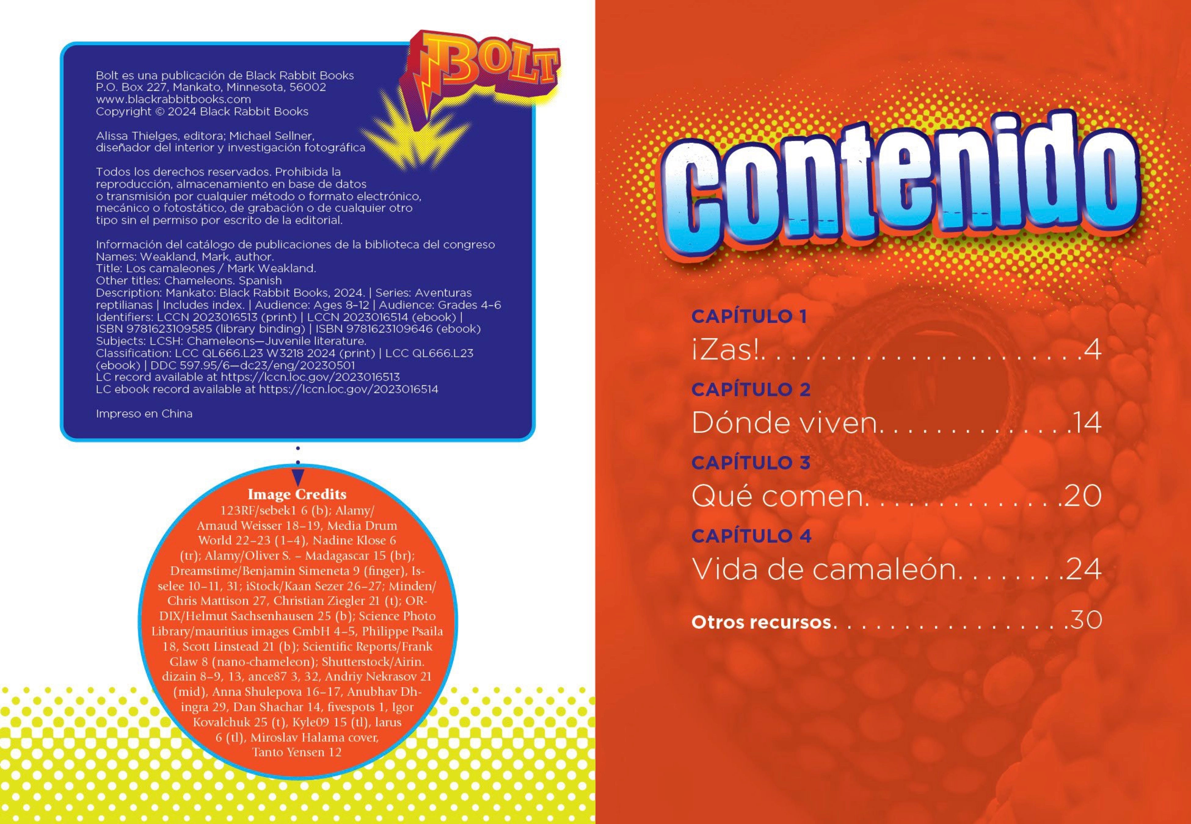 Los Camaleones 9781623109585 - Chameleons Book in Spanish for Kids & Adults - Perfect for Learning, Gifts & Home Library