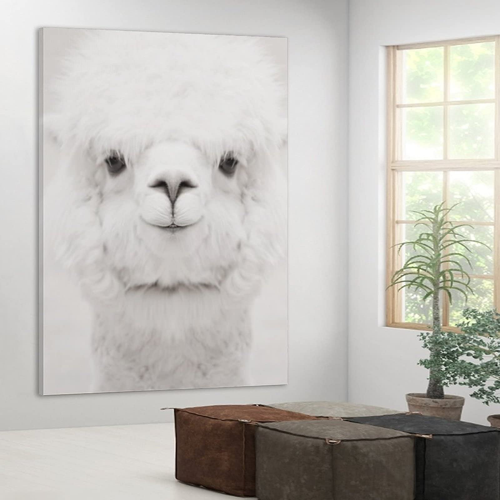 Smiling Alpaca Canvas Wall Art - 14