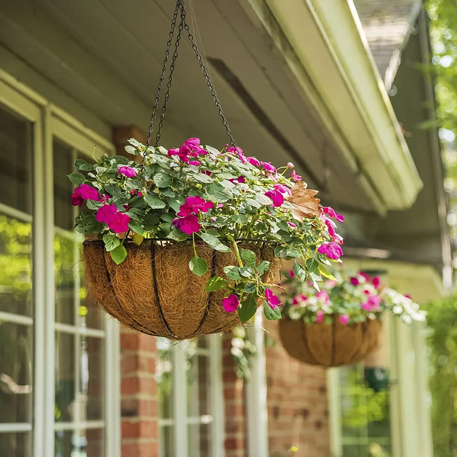 10 Inch Metal Hanging Flower Basket with Coconut Liner - Round Wire Butterfly Pattern Plant Holder with Chain for Outdoor, Patio, Lawn & Garden Decor - Perfect for Hanging Plants, Herbs & Flowers in Backyards, Balconies & Porches