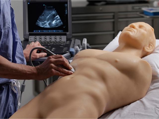 FAST Exam Real Time Ultrasound Training Model - Transthoracic Only for Emergency Medicine & Trauma Assessment Practice (Medical Simulation, Sonography Education, TTE Training)