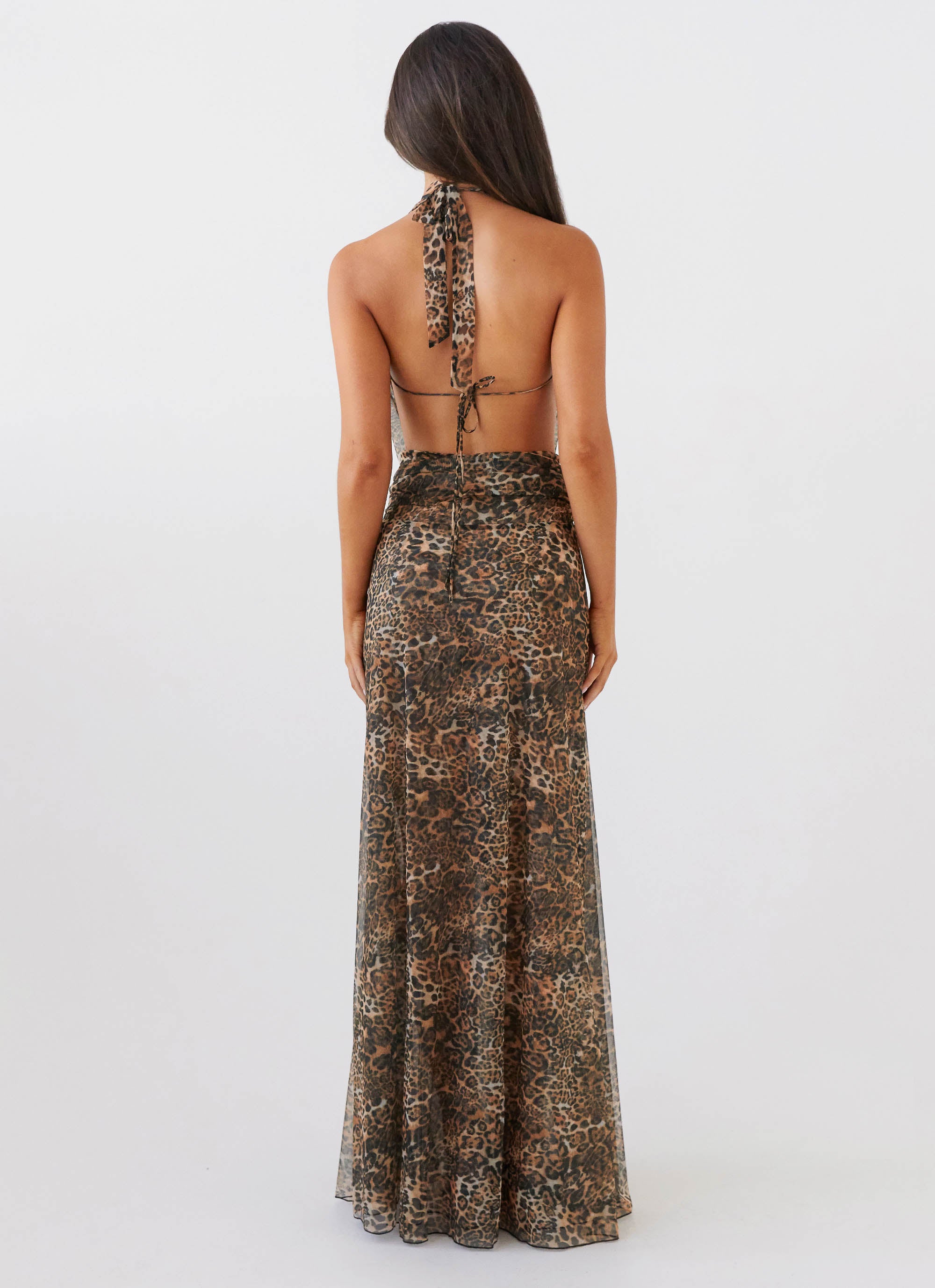 Elysia Mesh Maxi Dress - Leopard Print Long Sleeve Flowy Summer Dress for Women | Beach Cover Up, Boho Festival Outfit, Evening Party Wear
