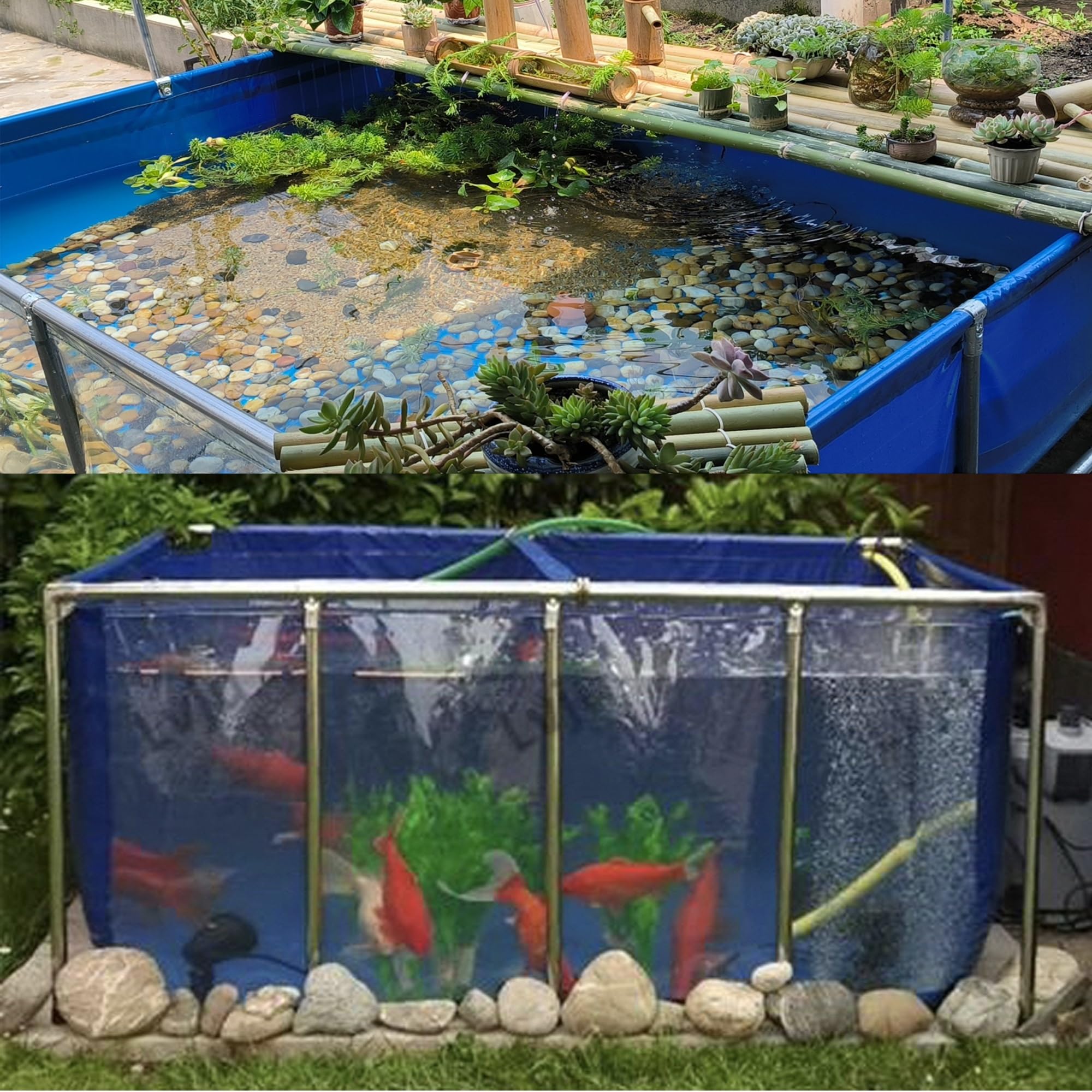 Above Ground Canvas Fish Pond - Large Transparent Aquaculture Pool for Temporary Fish Holding & Viewing (1x1m) - Perfect for Backyard, Garden, or Outdoor Fish Farming