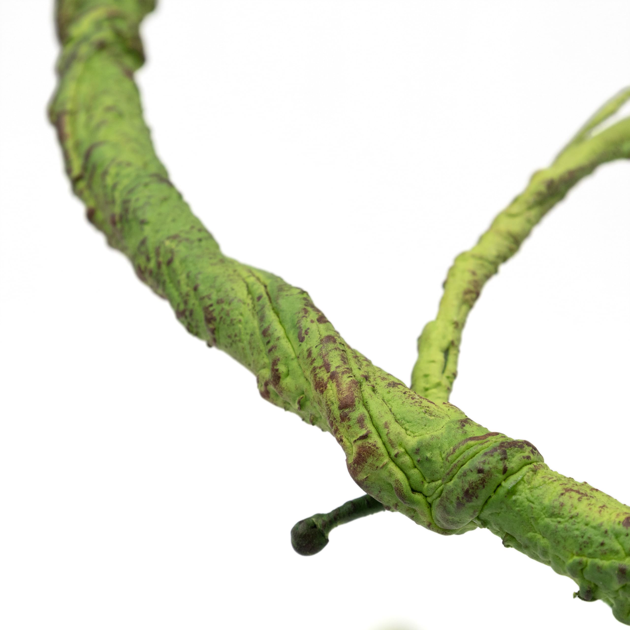 Pangea Reptile Ultimate Vine for Terrarium Habitat - Natural Green Climbing Branch for Lizards, Snakes & Geckos - Perfect for Jungle & Rainforest Terrarium Decor