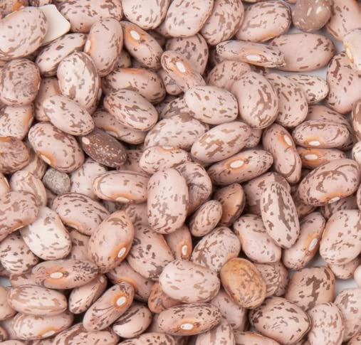 Organic Pinto Beans Dry Bulk 20 lbs - Non-GMO, Grown in Dove Creek Colorado USA - Perfect for Soups, Stews, Chili & Mexican Dishes - Sombrero Frijol Beans in Resealable Box