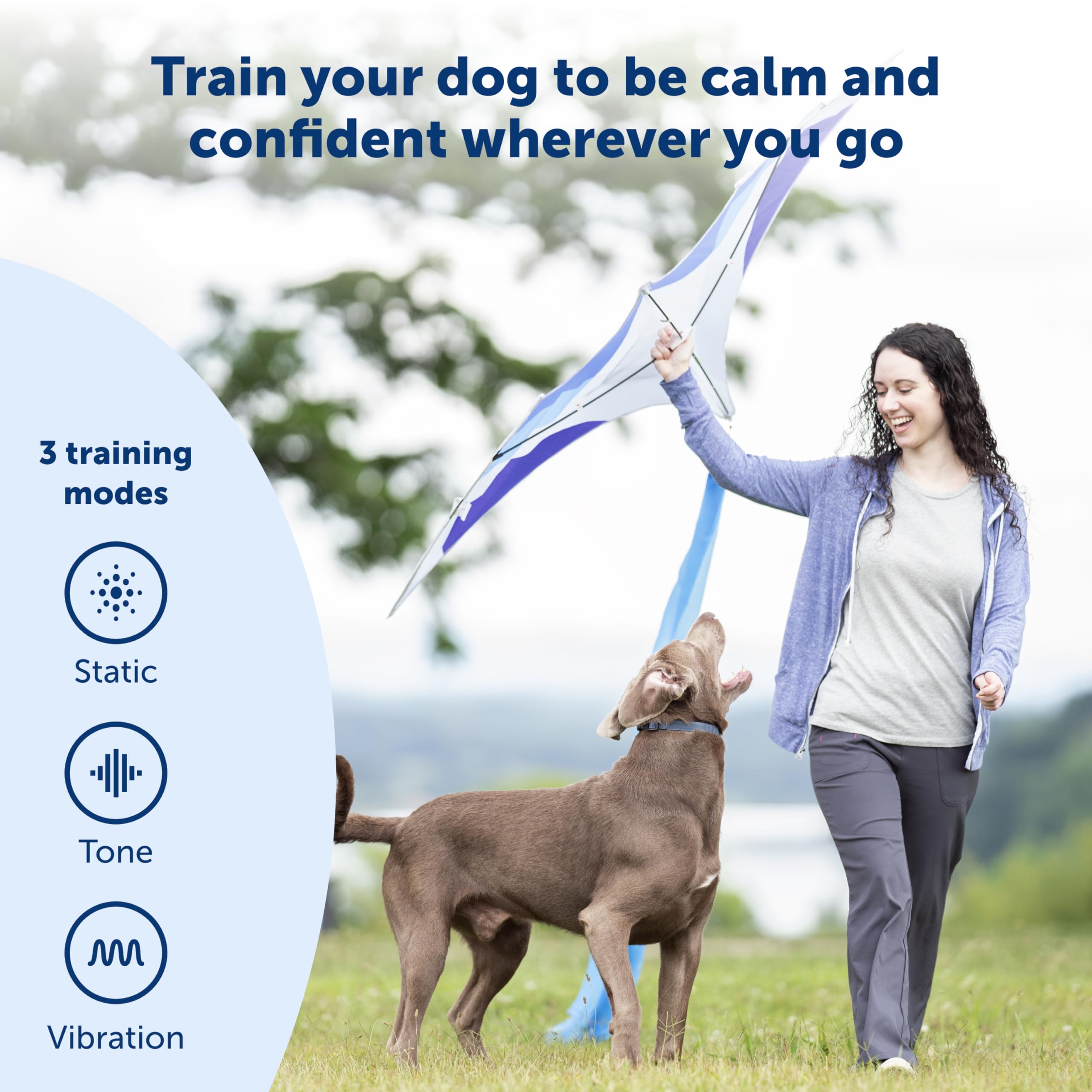 PetSafe 900 Yard Remote Training Collar for Dogs - 2 Dog Kit with Tone, Vibration & 15 Static Stimulation Levels | Long Range Waterproof Rechargeable Collar | Perfect for Off-Leash Training, Hunting & Outdoor Adventures
