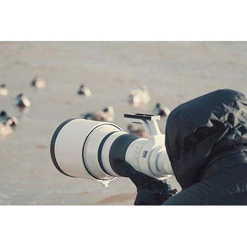 Canon RF 800mm f/5.6 L IS USM Super Telephoto Lens for Wildlife & Sports Photography - Professional DSLR Camera Lens with Image Stabilization & Ultra Sonic Motor