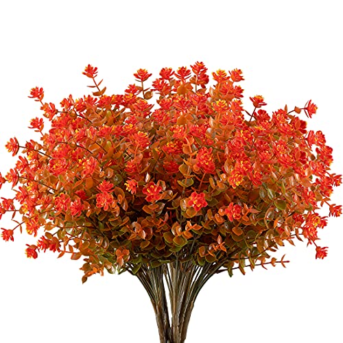 Brown Orange