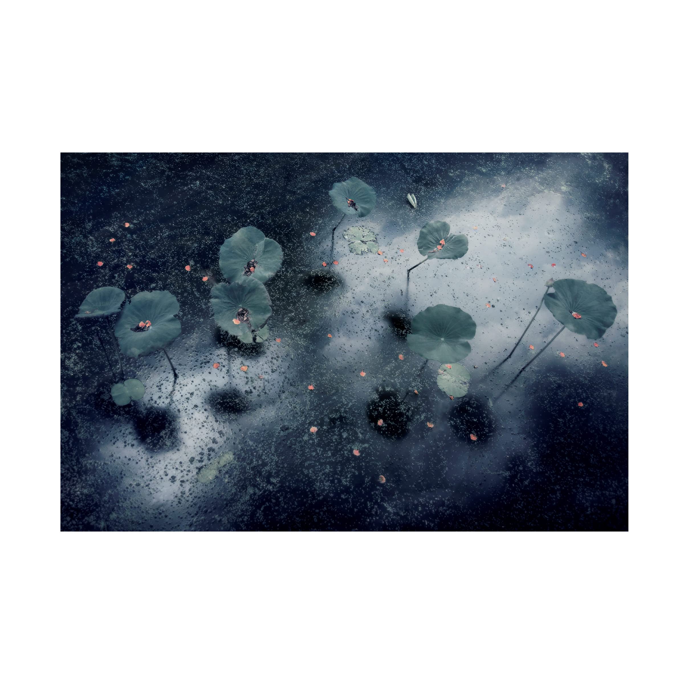 Trademark Fine Art 'Plant In The Galaxy' Canvas Wall Art Print by Ekkachai Khemkum - Modern Space Themed Home Decor for Living Room, Bedroom & Office