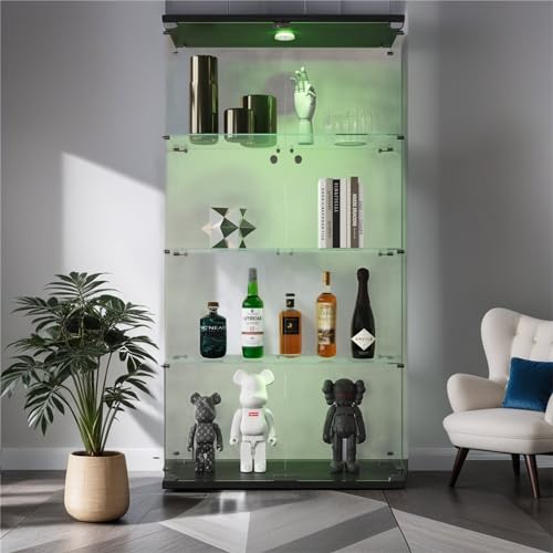 Black With Light-2 Door 4 Shelves-3