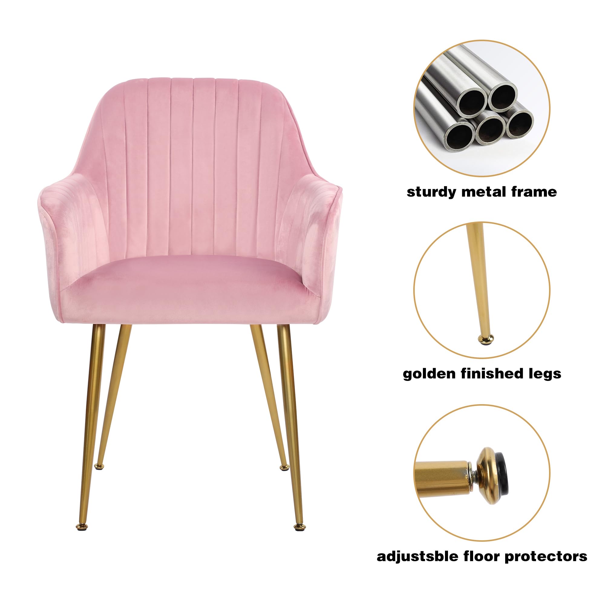 Luxury Set of 2 Pink Velvet Dining Chairs with Gold Plated Legs - Upholstered Accent Chairs for Living Room, Dining Room & Home Decor | Modern Comfort Seating for Entertaining Guests