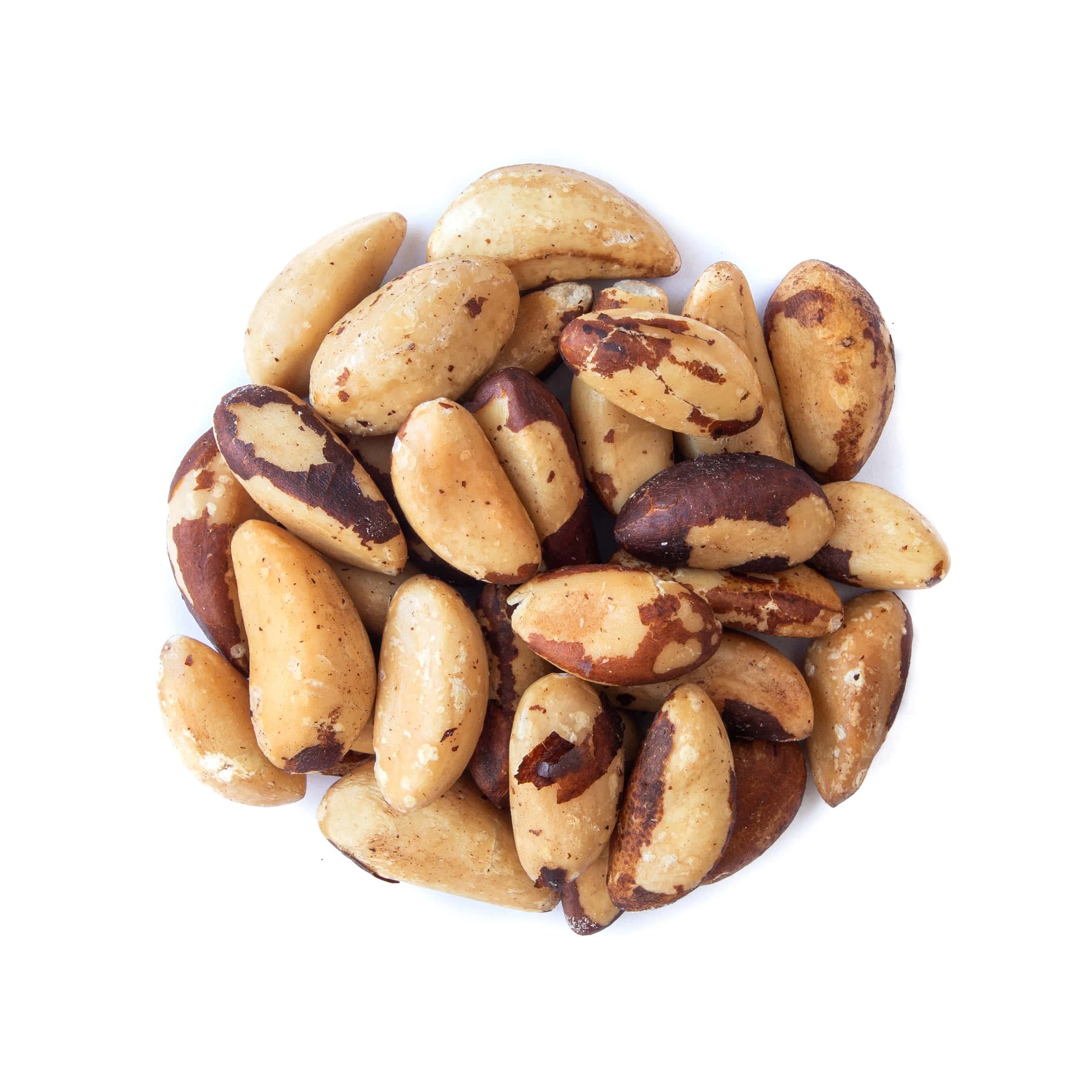 Organic Dry Roasted Brazil Nuts, 8 Pounds – Non-GMO, Whole, Unsalted, Vegan, Kosher, Bulk Snacks | High in Protein, Selenium & Healthy Fats | Keto, Paleo & Plant-Based Diet Friendly | Perfect for Snacking, Baking & Trail Mixes
