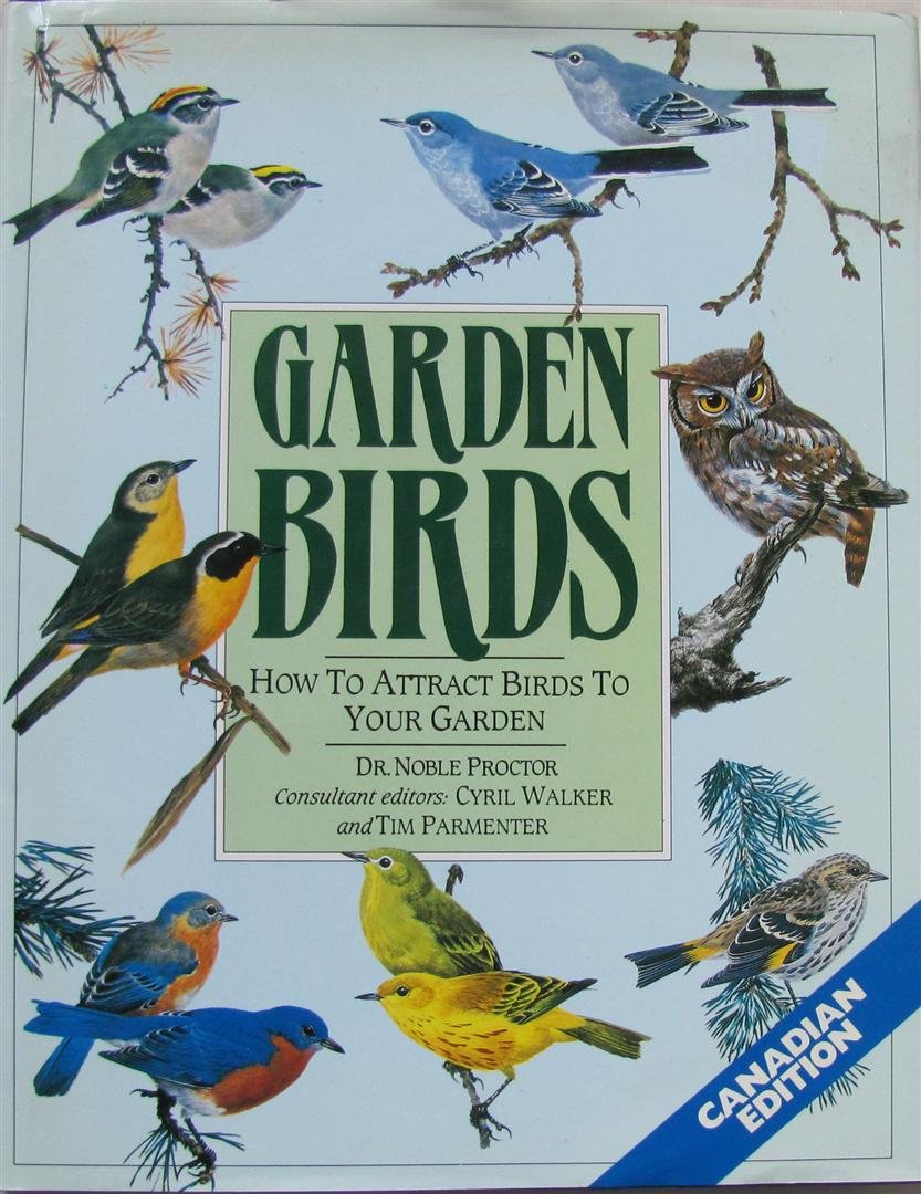 Garden Birds: How to Attract Birds to Your Backyard | Birdwatching Tips & Feeder Guide for Nature Lovers