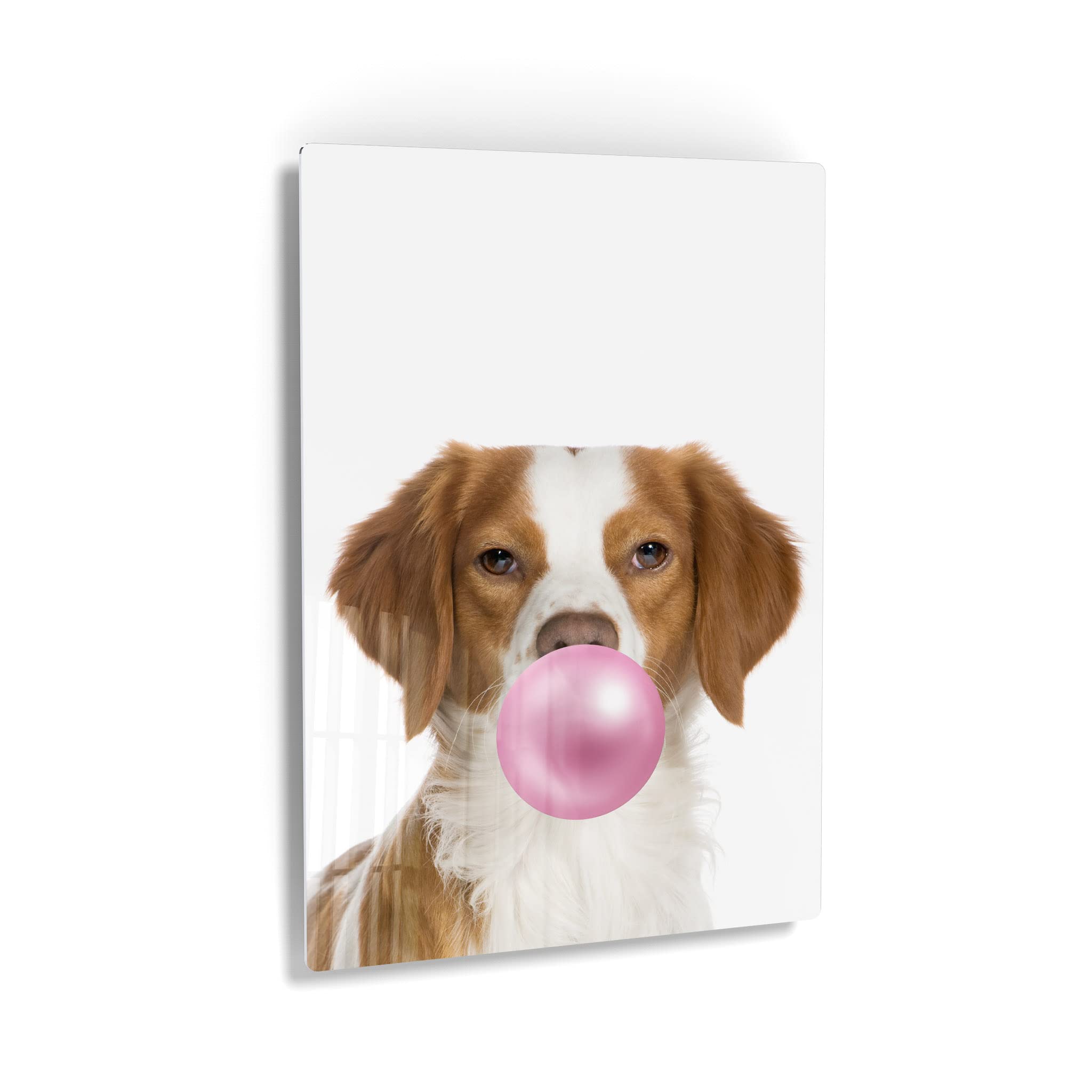 Epagneul Breton Dog Chewing Pink Bubble Gum Metal Wall Art Print - 30x20 - Pet Lover Gift, Pop Art Decor for Office, Living Room, Bedroom & Nursery - Perfect for Dog Owners & Animal Art Enthusiasts