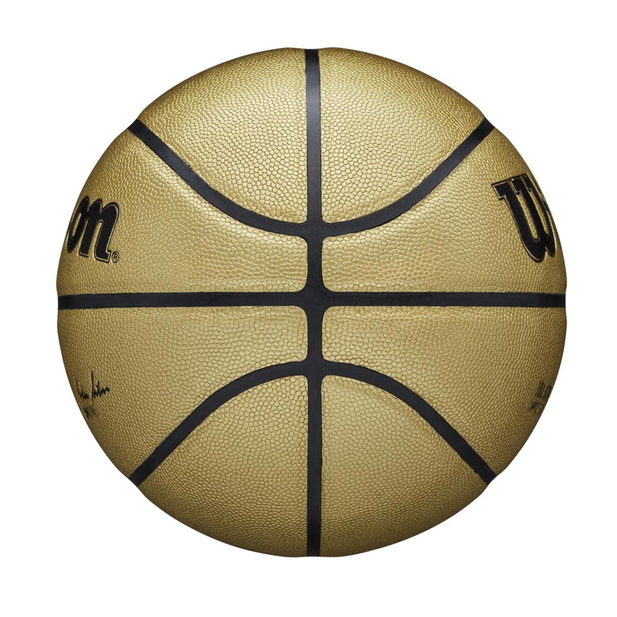Wilson NBA Alliance Series Official Game Basketball - Size 7 & Mini Size for Indoor/Outdoor Play, Training, and Gifts