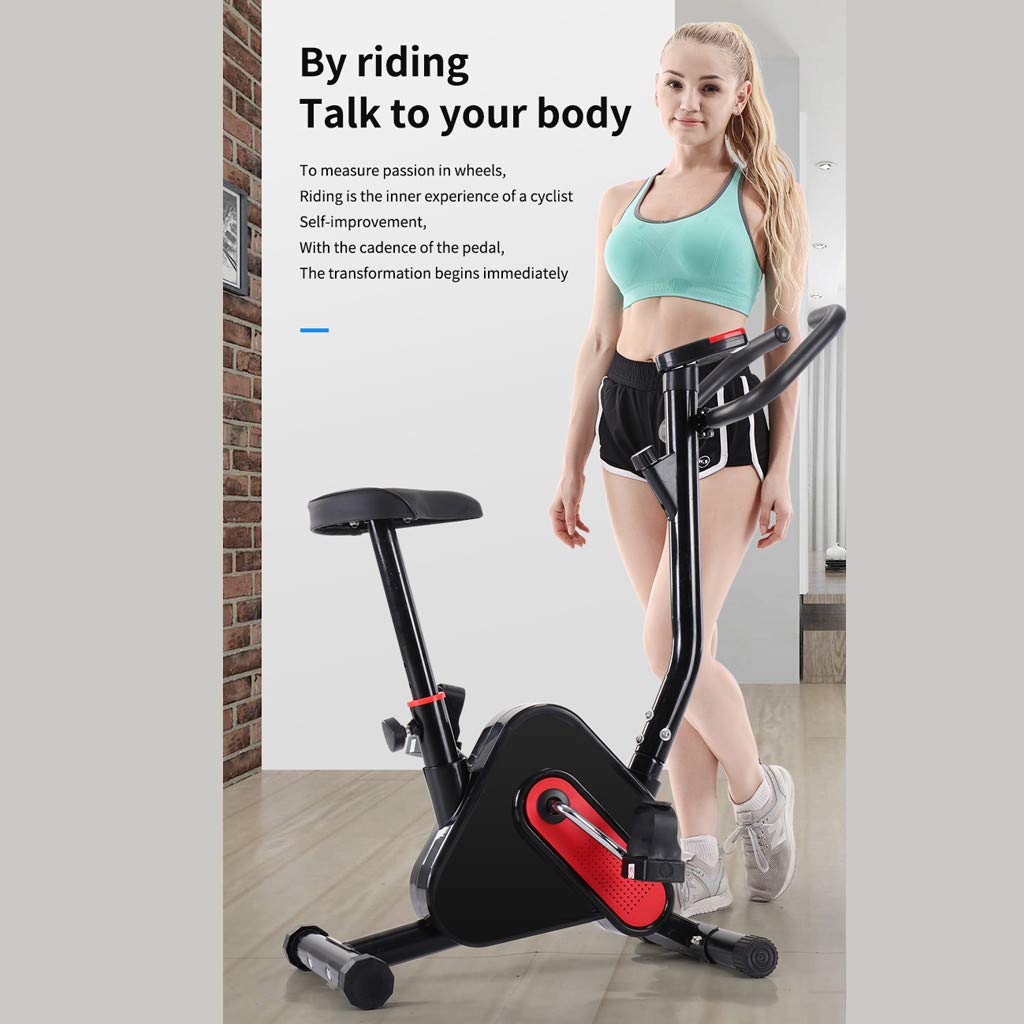 Ultra-Quiet Belt Drive Indoor Cycling Bike - Home Exercise Bike for Cardio Workout, Stationary Fitness Equipment with Silent Magnetic Resistance - Perfect for Home Gym, Apartment & Small Space Workouts (Black)
