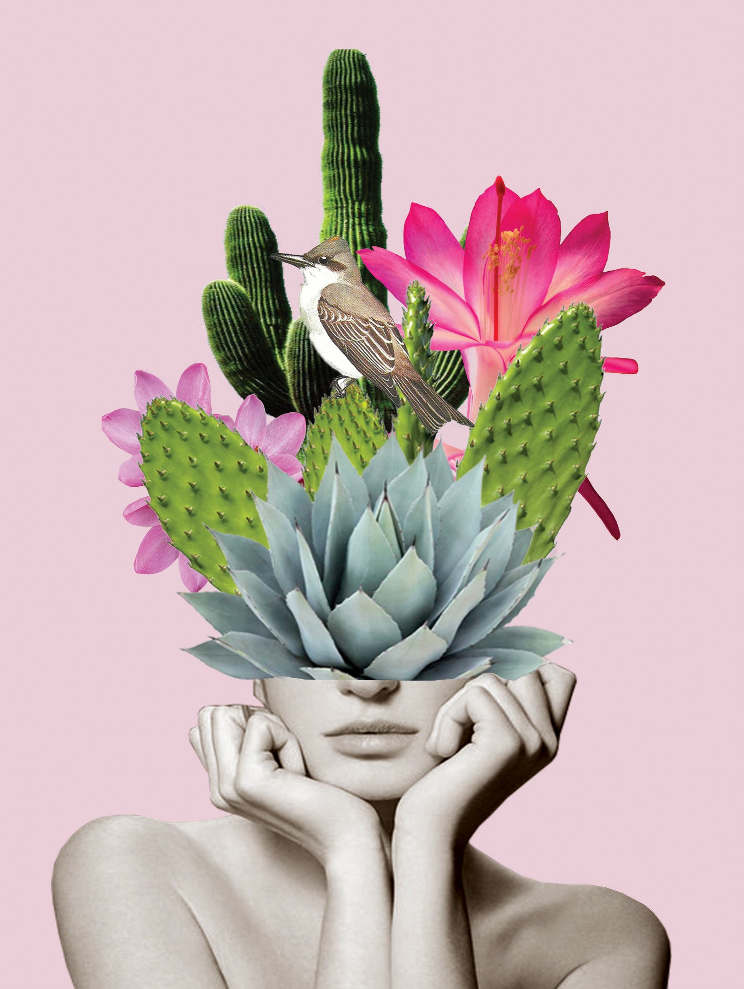 Cactus Lady Succulent Plant Decor - Beautiful Indoor & Outdoor Cactus for Home, Office, Garden | Perfect Gift for Plant Lovers, Housewarming, Birthday