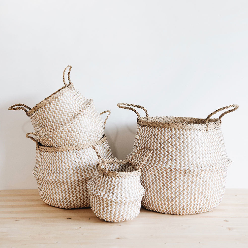 Finn Collapsible Rice Basket - Foldable Storage Container for Rice, Grains & Dry Food - Perfect for Kitchen Pantry Organization & Bulk Food Storage