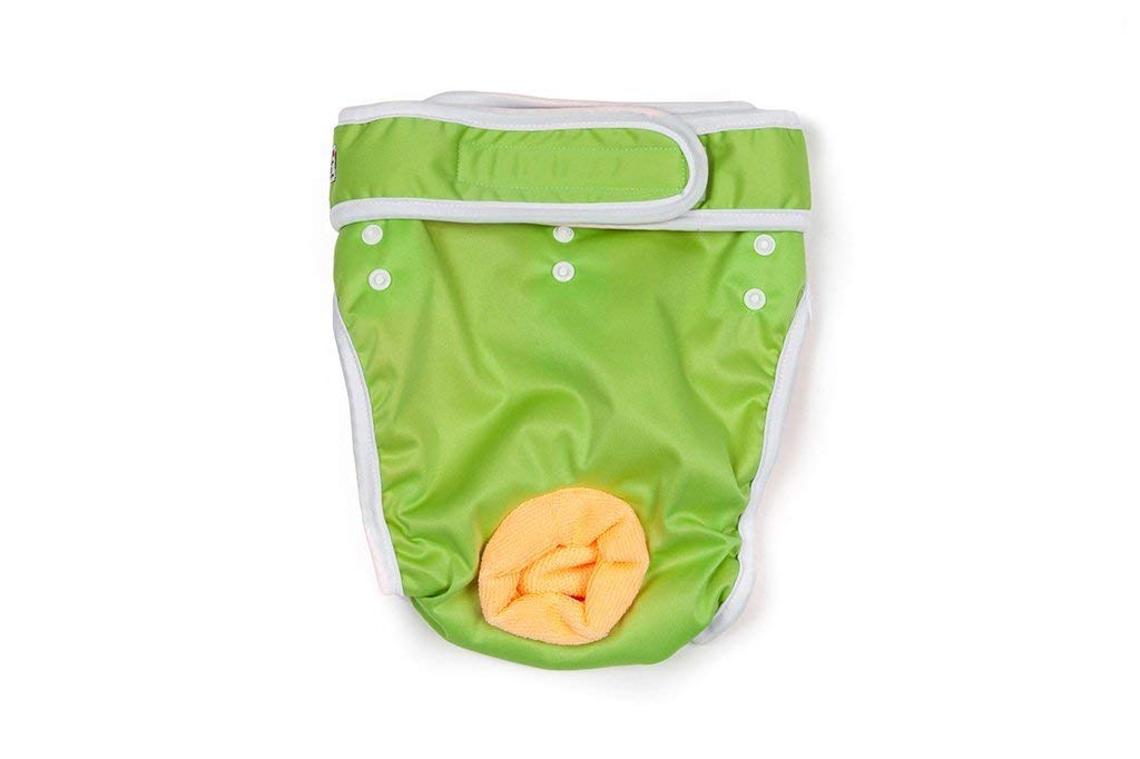 Washable Reusable Female Dog Diapers - Premium Absorbent Pet Panties for Small Dogs (Small, Green) | Perfect for Incontinence, Heat Cycles & House Training
