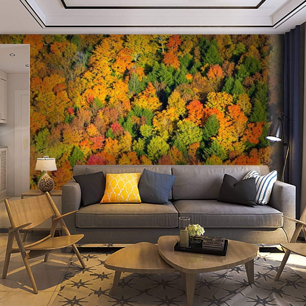 Self-Adhesive Removable Peel & Stick Wallpaper Mural - Stunning Aerial View of Vermont Fall Foliage | Easy Home Decor for Living Room, Bedroom & Office | Nature-Inspired Wall Decal & Wall Sticker