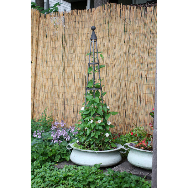 Achla Designs Obelisk Garden Trellis - Obl 01 & Obl 02 - Metal Plant Support for Climbing Flowers, Vines, and Vegetables | Perfect for Outdoor Gardens, Patios, and Backyard Landscaping