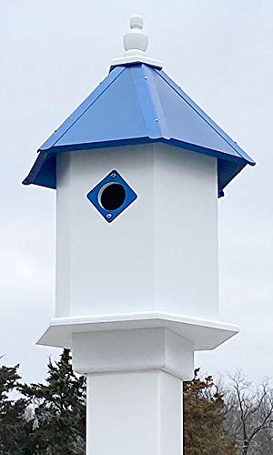 Handcrafted Wing & A Prayer Sycamore Bird House with Cobalt Blue Roof - Attract Wild Birds to Your Garden | Perfect for Backyard, Patio & Nature Lovers