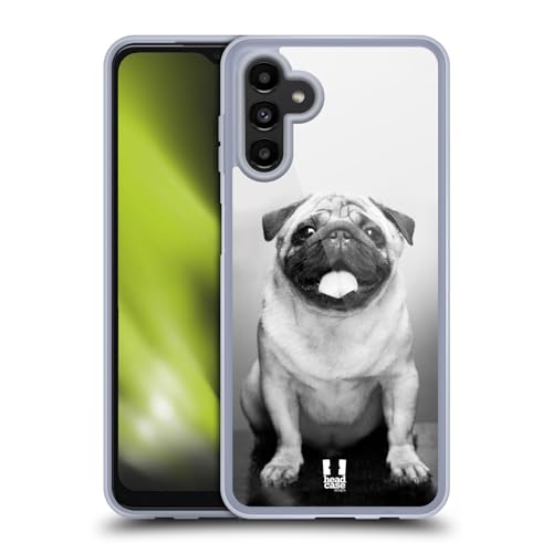 Cute Male Pug