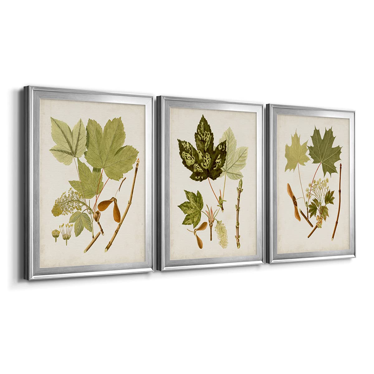 Silver Framed Canvas Wall Art - 3-Piece Antique Leaves Décor Set (26x36 Inches) for Bathroom, Living Room & Bedroom | Trendy Eclectic Home & Travel Inspired Design