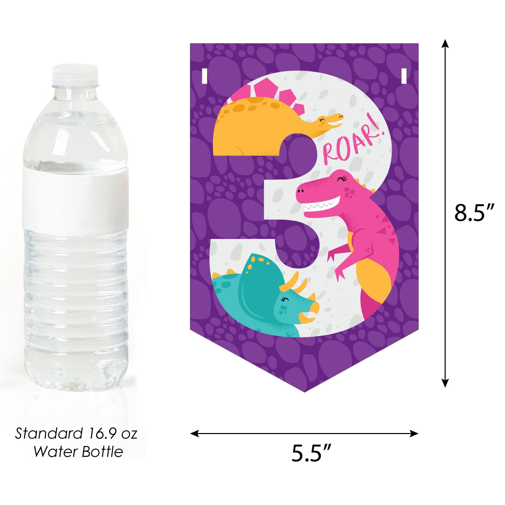 Big Dot of Happiness 3rd Birthday Dinosaur Party Banner - T-Rex Themed Happy 3rd Birthday Decor for Girls - Dino Party Supplies for Indoor/Outdoor Celebrations, Classrooms & Photo Backdrops