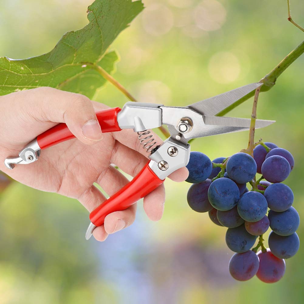 Premium Garden Pruners & Pruning Shears - Sharp Stainless Steel Blades, Ergonomic Red Handle for Comfort - Perfect for Trimming Plants, Shrubs, Flowers & Garden Maintenance (Ideal for Home Gardeners & Professional Landscapers)