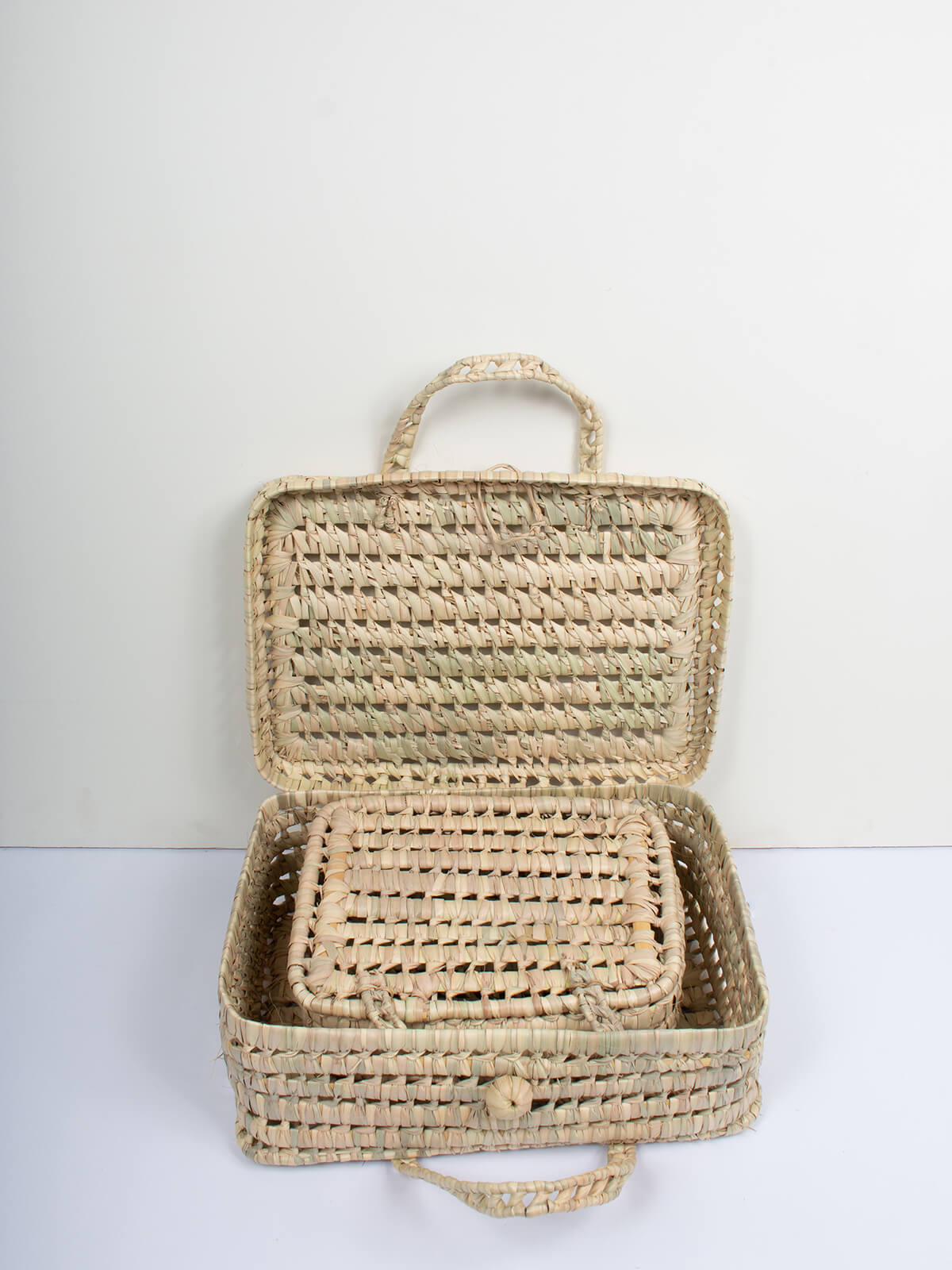 Durable Woven Suitcase for Travel - Lightweight & Spinner Luggage with TSA Lock - Perfect for Airplane Carry-On & Business Trips