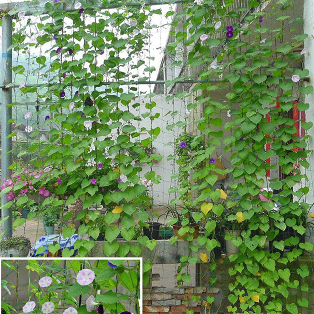 Premium Garden Netting for Fruits & Vines - Durable Climbing Plant Support Mesh for Petunias, Vegetables & More - Perfect for Vertical Gardening, Trellis Systems & Plant Protection