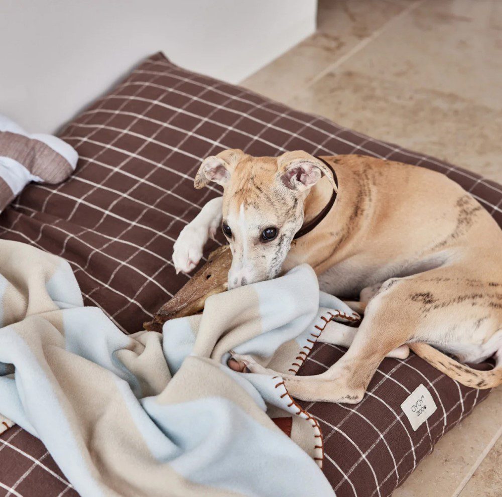 OYOY ZOO Kyoto Dog Cushion - Soft Plush Pet Pillow for Sofa & Bed - Chocolate Brown - 2 Size Options - Perfect for Home Decor & Pet Lovers