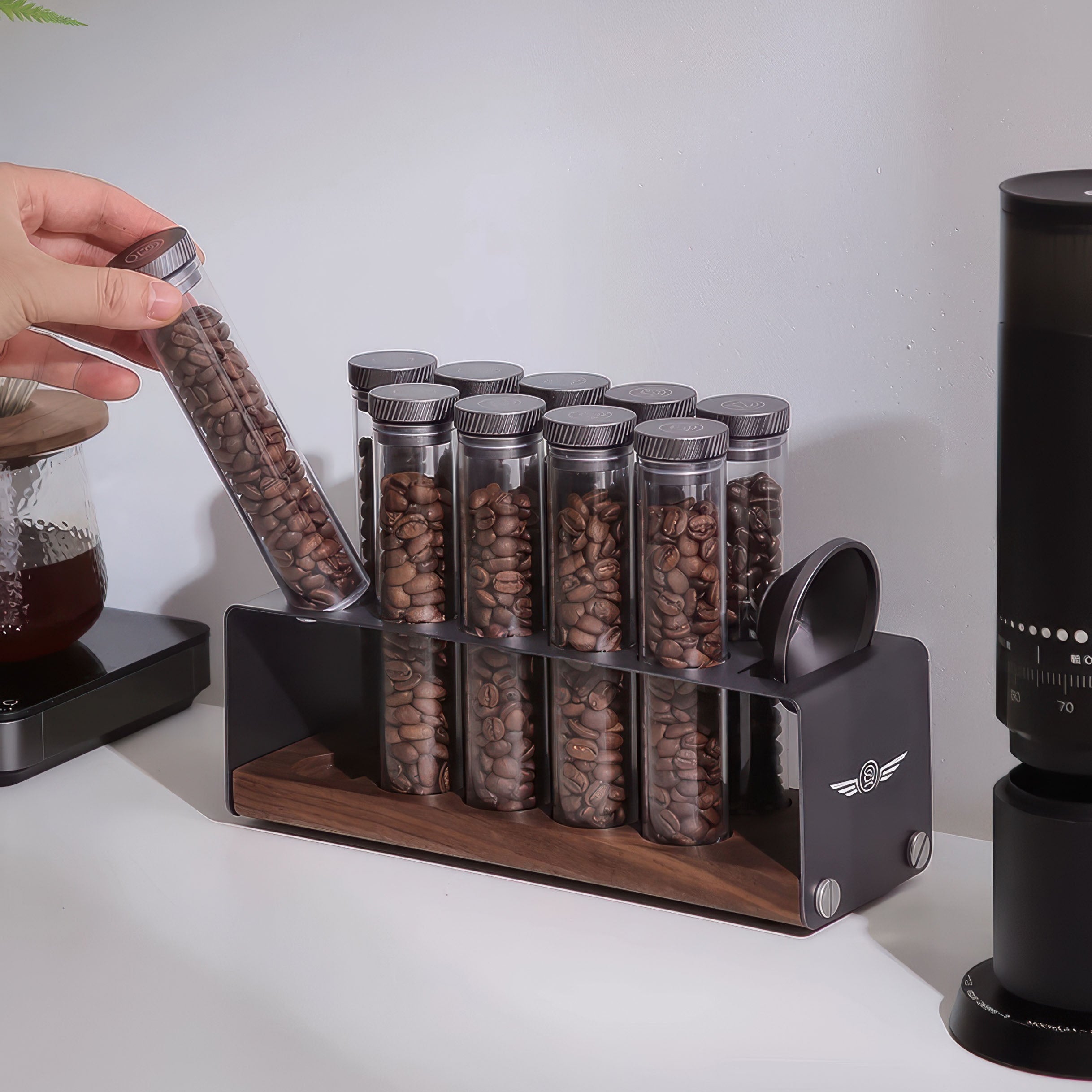 Premium Coffee Bean Storage Container & Degassing Stand - Airtight, Clear View, Perfect for Home Baristas & Coffee Shops - Ideal for Freshness & Flavor Preservation