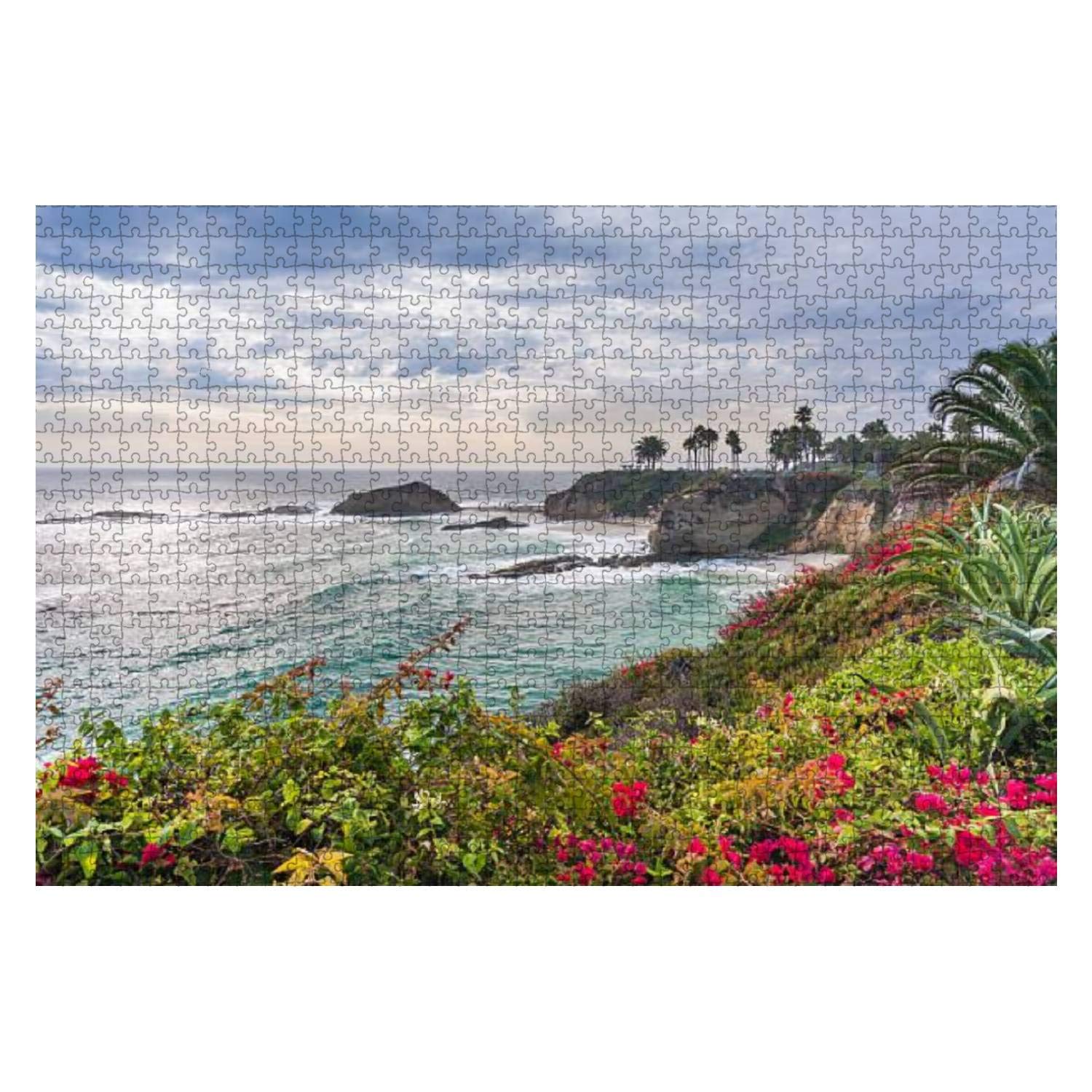 1000 Piece Wooden Jigsaw Puzzle - Beautiful Laguna Beach Park with Seashore Flowers - Educational & Stress Relief Puzzle Game for Adults and Kids | Perfect for Family Game Night, Classroom Activities & Relaxation Therapy