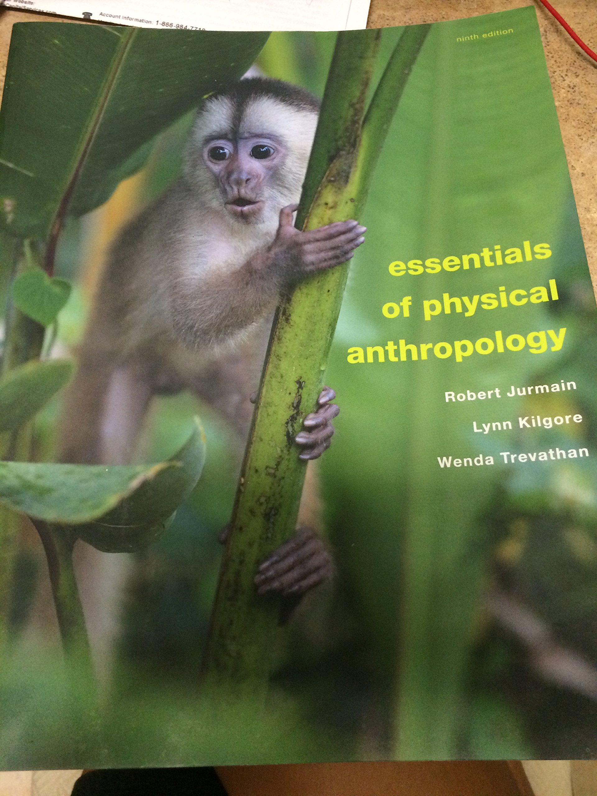 Essentials of Physical Anthropology Textbook - Human Evolution & Biological Anthropology Study Guide for College Students | Perfect for Anthropology Courses & Research