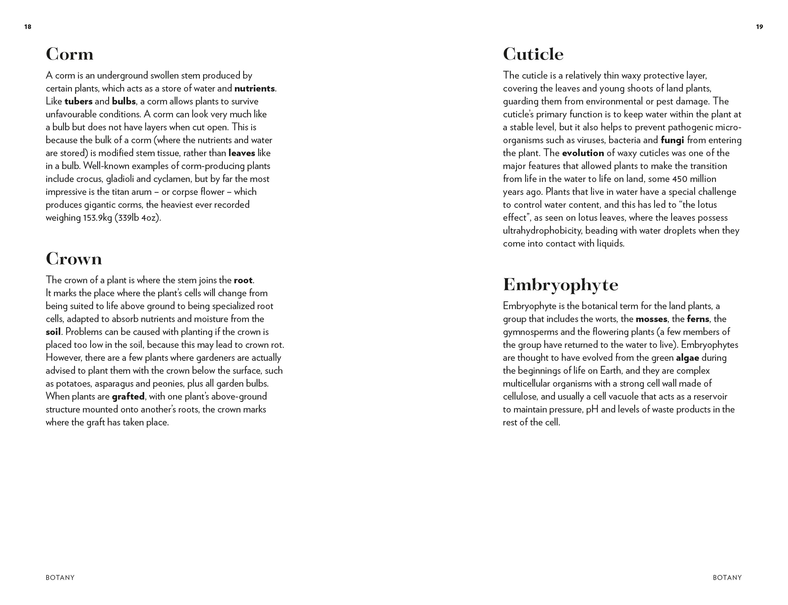 Kew - Plant Words: 250 Unique Botanical Terms for Plant Enthusiasts | Royal Botanic Gardens, Kew | Perfect for Gardeners, Botanists & Nature Lovers