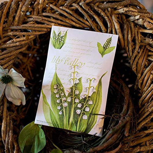 Fresh Scents Scented Sachets - Lily of the Valley Fragrance (Pack of 6) | Natural Air Freshener for Closet, Drawer & Car | Long-Lasting Aroma for Home & Office