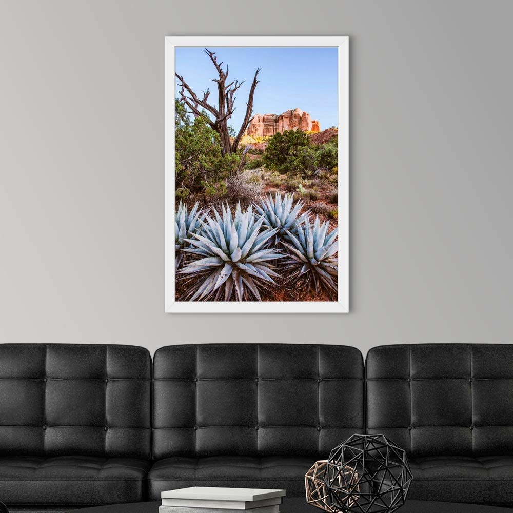 Agave Plants Sedona Arizona White Framed Art Print - Desert Landscape Wall Decor for Home & Office - Perfect for Southwestern Style Interior Design