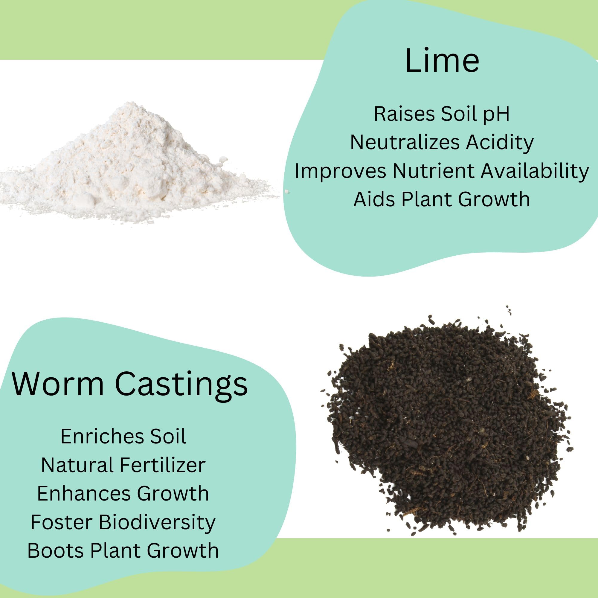 Premium Tropical House Plant Potting Soil Mix - 2 Quart Bag | Nutrient-Rich Blend for Monstera, Pothos, Philodendron & All Indoor Plants | Perfect for Repotting, Transplanting & Healthy Growth