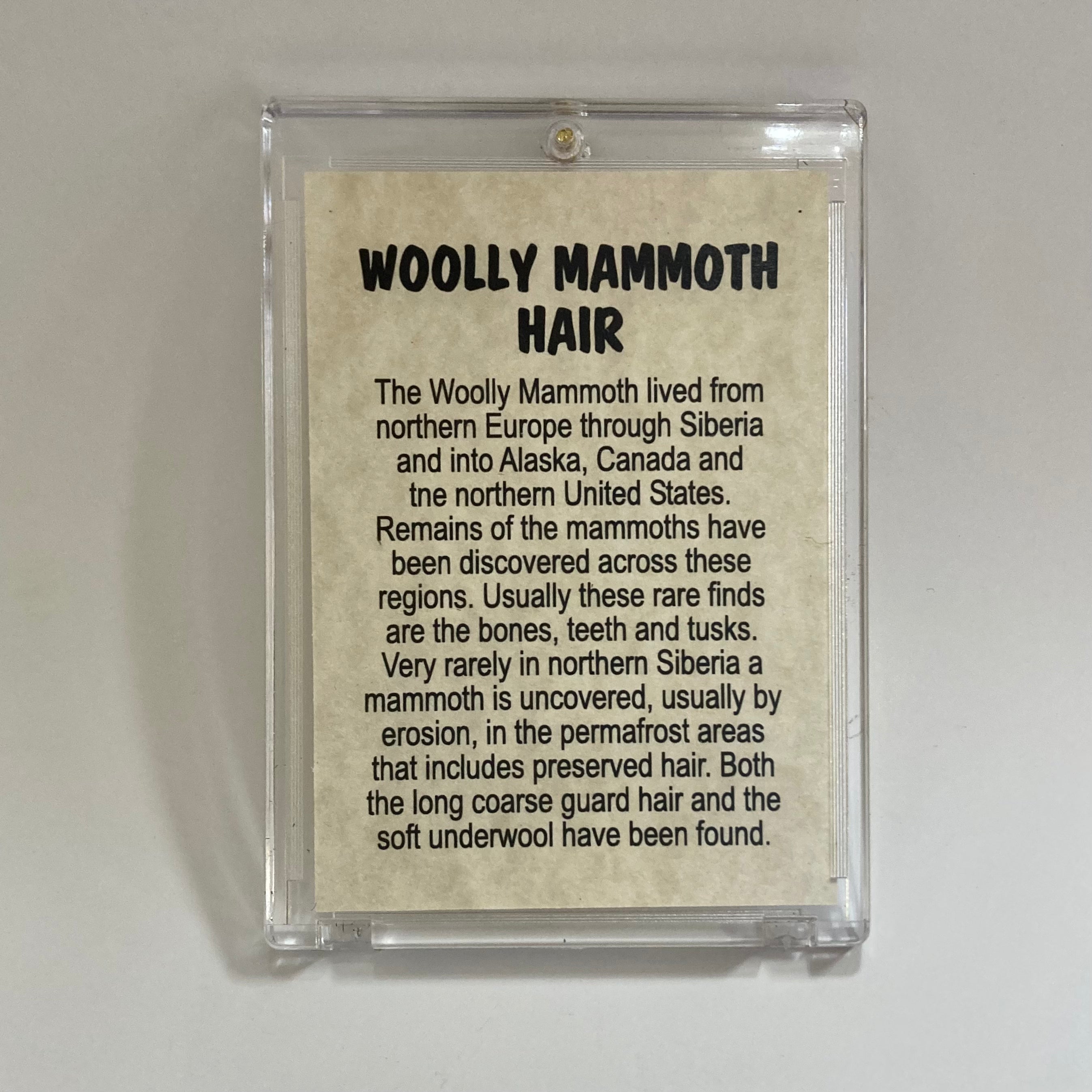 Premium Mammoth Hair Extensions - 100% Human Hair, Natural & Voluminous for Stunning Hairstyles - Perfect for Weddings, Parties & Everyday Glam