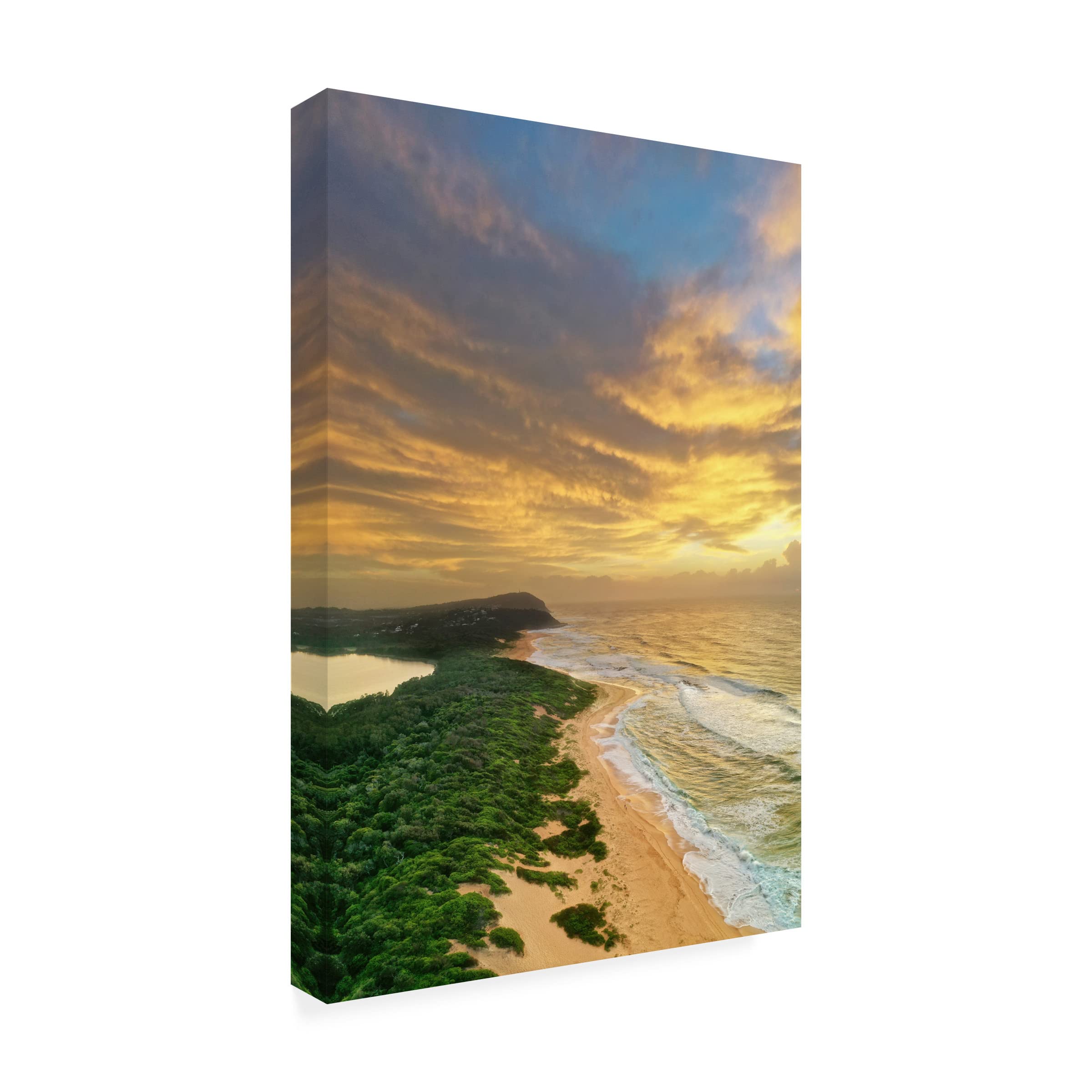Trademark Fine Art 'Rising To The Occasion' Canvas Wall Art by Beata Czyzowska Young - Modern Home Decor for Living Room, Bedroom & Office