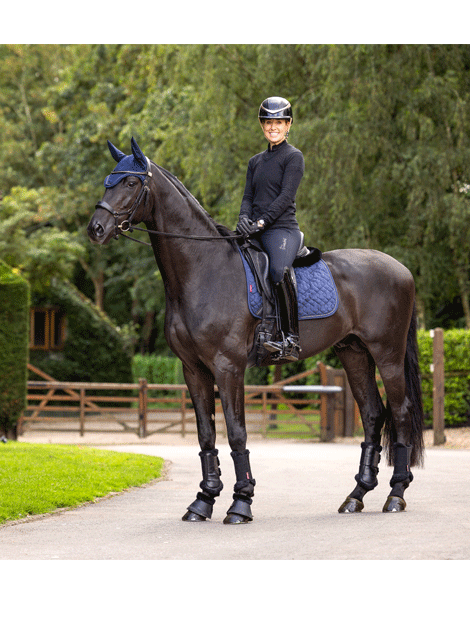 Le Mieux Crystal Fly Hood - Elegant Horse Fly Mask with Crystal Embellishments for Show & Riding | Perfect for Equestrian Competitions & Daily Riding Comfort